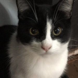 Meet your Posher, Aj